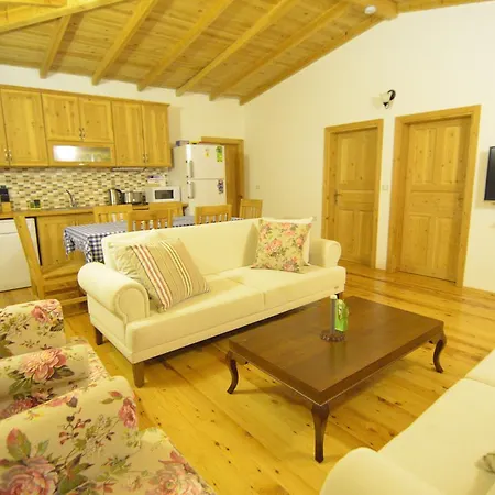 New Age Akya Villa Kayakoy